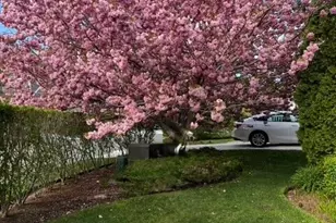 121 Camp St, Yarmouth, MA 02673 - Photo 35