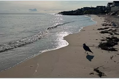 34 Pleasant Street #UNIT 3, Dennis, MA 02639 - Photo 19