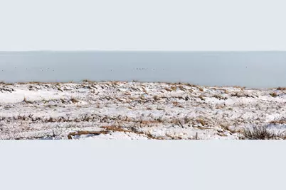 945 Commercial Street #Unit 3D, Provincetown, MA 02657 - Photo 9