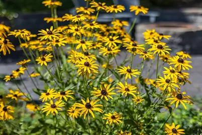 22 Nauset Farms Private Way, Orleans, MA 02653 - Photo 9