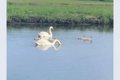 68 Grouse Lane, Yarmouth, MA 02673 - Photo 9