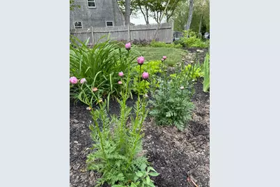 16 Hazelwood Road, Dennis, MA 02660 - Photo 35