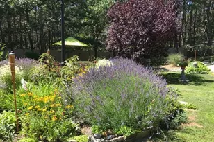 53 Highland Rd, Truro, MA 02652 - Photo 33