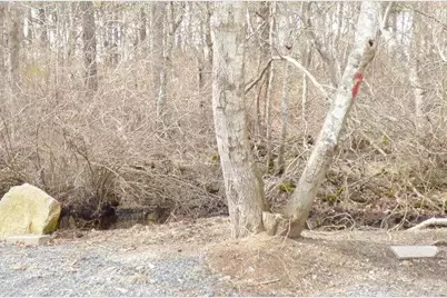 3 Circuit Road, Yarmouth, MA 02673 - Photo 23