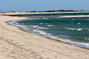 39 Jedidiah Way, Chatham, MA 02633 - Photo 39