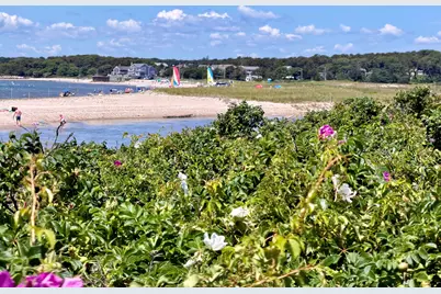 39 Jedidiah Way, Chatham, MA 02633 - Photo 51