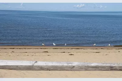 495 Aspinet Road, Eastham, MA 02642 - Photo 47