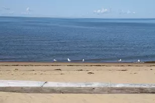 495 Aspinet Rd, Eastham, MA 02642 - Photo 47