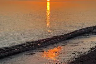 65 Wing Blvd, Sandwich, MA 02563 - Photo 35