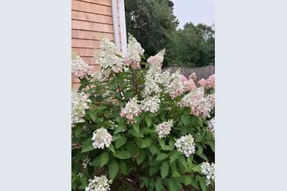 23 Clubhouse Drive, Bourne, MA 02559 - Photo 45