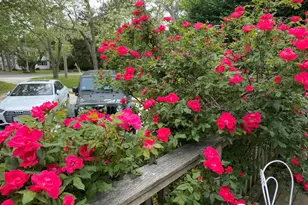 17 Shore Rd, Truro, MA 02666 - Photo 5