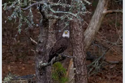 15 Riverview Avenue #UNIT D, Mashpee, MA 02649 - Photo 31