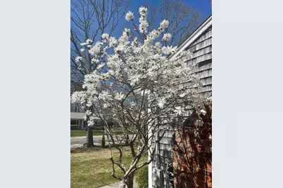 80 Coolidge Road, Yarmouth, MA 02673 - Photo 5