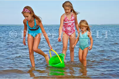 210 Billington Lane #UNIT 210, Brewster, MA 02631 - Photo 45