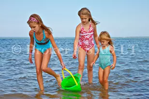 210 Billington Ln, Brewster, MA 02631 - Photo 45