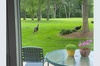 210 Billington Lane #UNIT 210, Brewster, MA 02631 - Photo 11