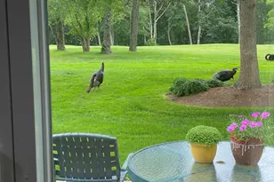 210 Billington Ln, Brewster, MA 02631 - Photo 11