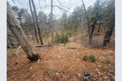 60 Perch Pond Way, Wellfleet, MA 02667 - Photo 5