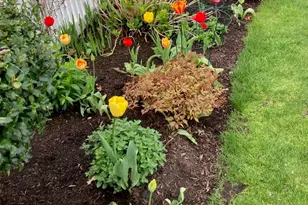 2 Amberwood Ct, Bourne, MA 02532 - Photo 35