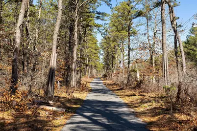 29 Lumberjack Trail, Yarmouth, MA 02673 - Photo 25