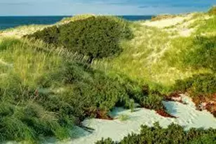 253 Gleneagle Dr, Barnstable, MA 02632 - Photo 41