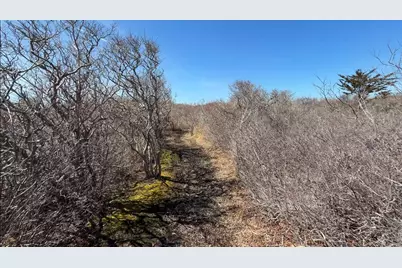 00 Moshup Trail, Chilmark, MA 02535 - Photo 9