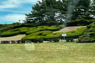 14 Harold St, Harwich, MA 02646 - Photo 17