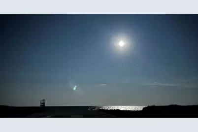 14 Harold Street #APT 2F, Harwich, MA 02646 - Photo 19