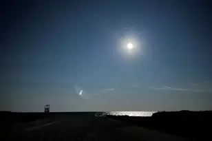 14 Harold St, Harwich, MA 02646 - Photo 19