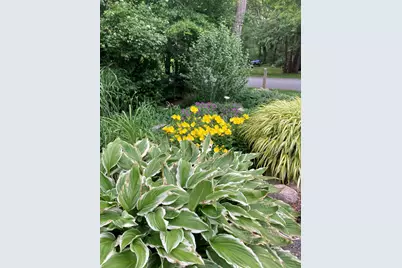 49 Great Hill Drive, Barnstable, MA 02668 - Photo 39