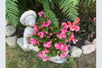 49 Great Hill Drive, Barnstable, MA 02668 - Photo 49