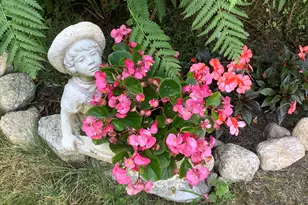 49 Great Hill Dr, Barnstable, MA 02668 - Photo 49