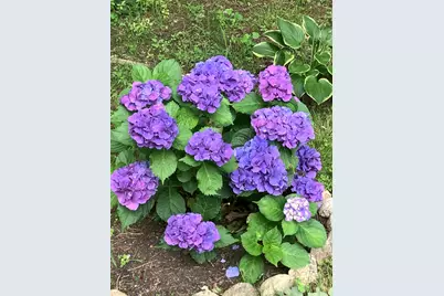 49 Great Hill Drive, Barnstable, MA 02668 - Photo 55