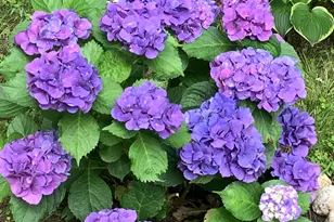 49 Great Hill Dr, Barnstable, MA 02668 - Photo 55