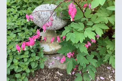 49 Great Hill Drive, Barnstable, MA 02668 - Photo 57