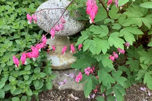 49 Great Hill Dr, Barnstable, MA 02668 - Photo 57