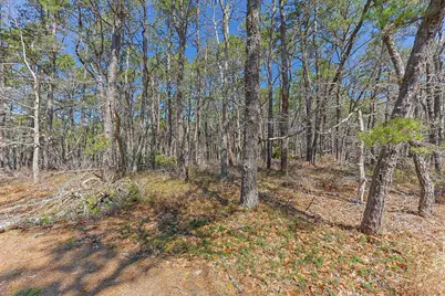 175 Delphi Path, Wellfleet, MA 02667 - Photo 3
