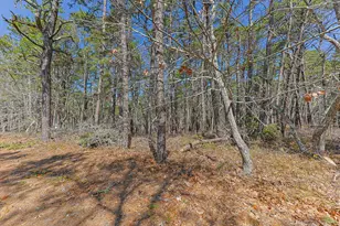 175 Delphi Path, Wellfleet, MA 02667 - Photo 1