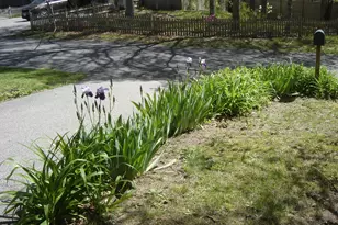 2 Zephyr Dr, Yarmouth, MA 02675 - Photo 23