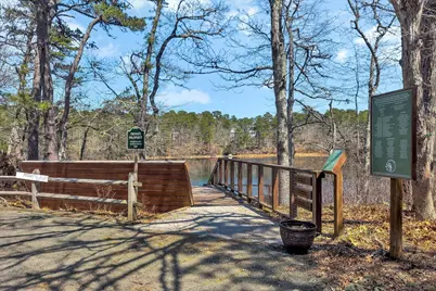 5 Maple Lane, Brewster, MA 02631 - Photo 43