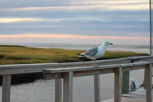 248 Camp St, Yarmouth, MA 02673 - Photo 33