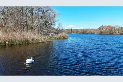 56 Locust Road, Orleans, MA 02653 - Photo 89
