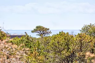 7 Turnstone Rd, Truro, MA 02666 - Photo 37