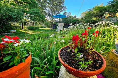 21 Mechanic Street, Provincetown, MA 02657 - Photo 13