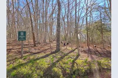 206 Landing Drive, Brewster, MA 02631 - Photo 87