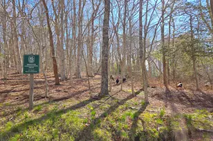 206 Landing Dr, Brewster, MA 02631 - Photo 87