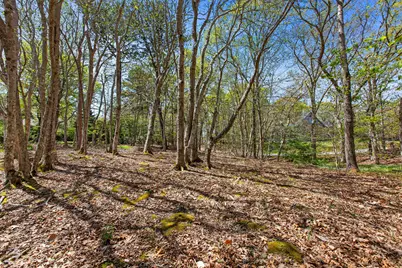0 Landing Drive, Brewster, MA 02631 - Photo 5