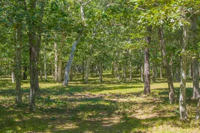 4 Wilsons Lane, Edgartown, MA 02539 - Photo 17