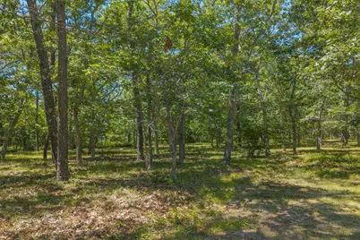 4 Wilsons Lane, Edgartown, MA 02539 - Photo 11