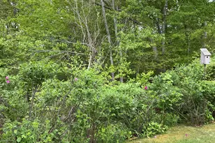 481 Buck Island Rd, Yarmouth, MA 02673 - Photo 47